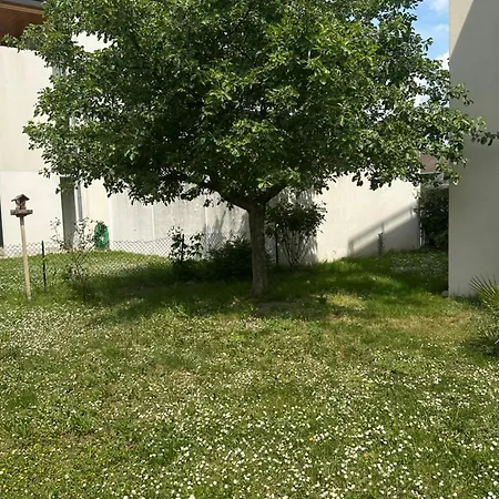 Un Havre De Verdure En Appartement *