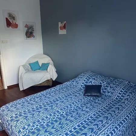 Un Havre De Verdure En *