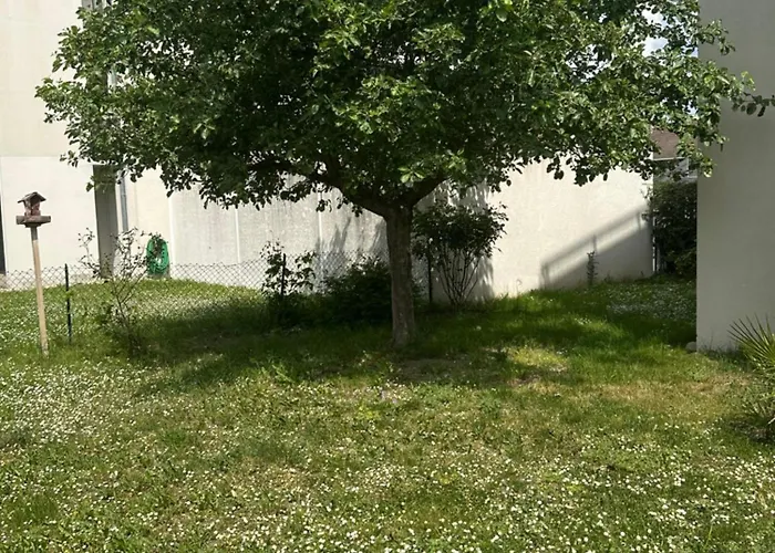 Un Havre De Verdure En Appartement *